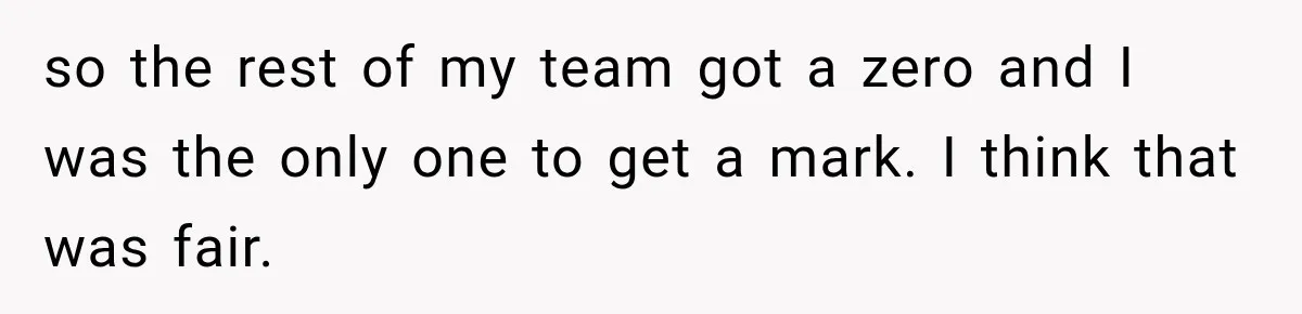 so the rest of my team got a zero and I was the only one to get a mark. I think that was fair.