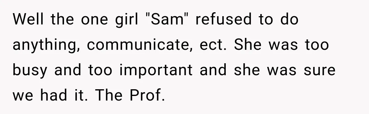 Well the one girl "Sam" refused to do anything, communicate, ect. She was too busy and too important and she was sure we had it. The Prof.