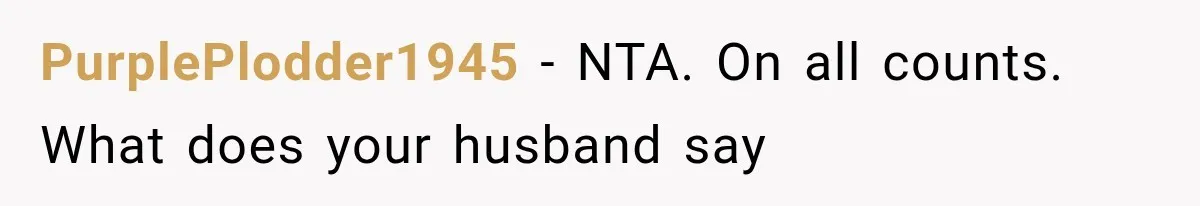 Woman Asks SIL to Stop Planning Visits to Her House, Then Gets Accused of Not Liking Her PurplePlodder1945 − NTA. On all counts. What does your husband say