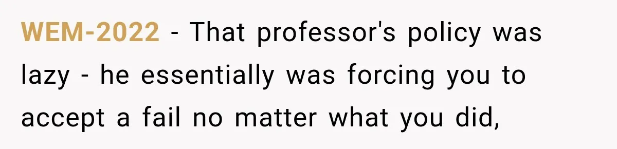WEM-2022 − That professor's policy was lazy - he essentially was forcing you to accept a fail no matter what you did,