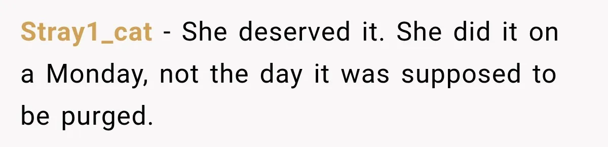 Stray1_cat − She deserved it. She did it on a Monday, not the day it was supposed to be purged.