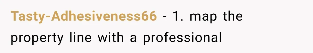 Tasty-Adhesiveness66 − 1. map the property line with a professional