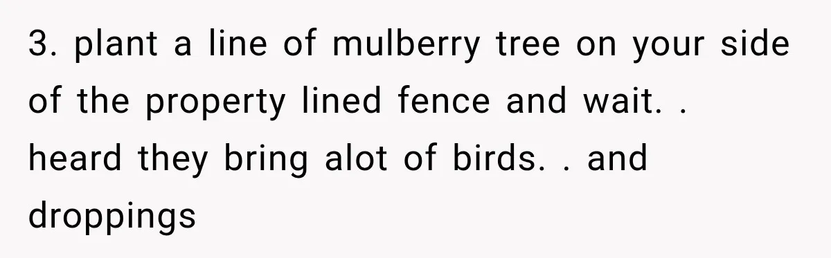 3. plant a line of mulberry tree on your side of the property lined fence and wait. . heard they bring alot of birds. . and droppings