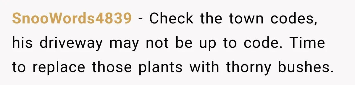 SnooWords4839 − Check the town codes, his driveway may not be up to code. Time to replace those plants with thorny bushes.