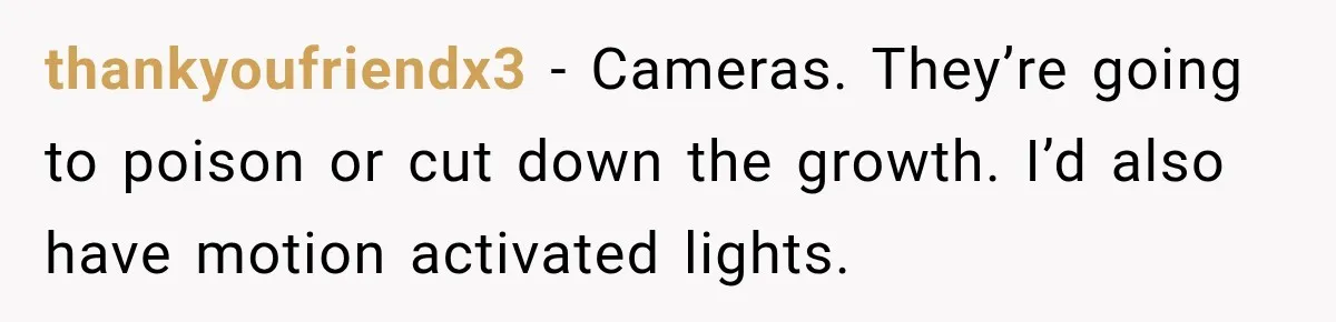 thankyoufriendx3 − Cameras. They’re going to poison or cut down the growth. I’d also have motion activated lights.