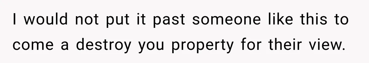I would not put it past someone like this to come a destroy you property for their view.