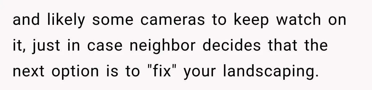 and likely some cameras to keep watch on it, just in case neighbor decides that the next option is to "fix" your landscaping.