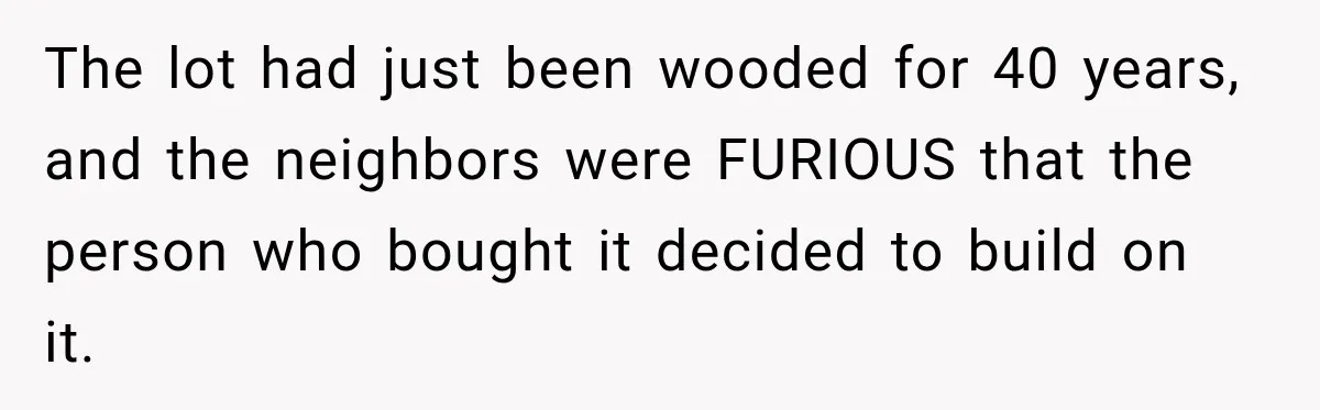 The lot had just been wooded for 40 years, and the neighbors were FURIOUS that the person who bought it decided to build on it.
