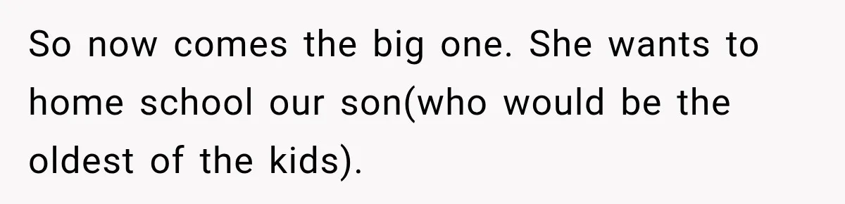 So now comes the big one. She wants to home school our son(who would be the oldest of the kids).