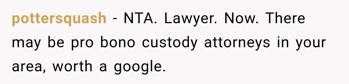 pottersquash − NTA. Lawyer. Now. There may be pro bono custody attorneys in your area, worth a google.