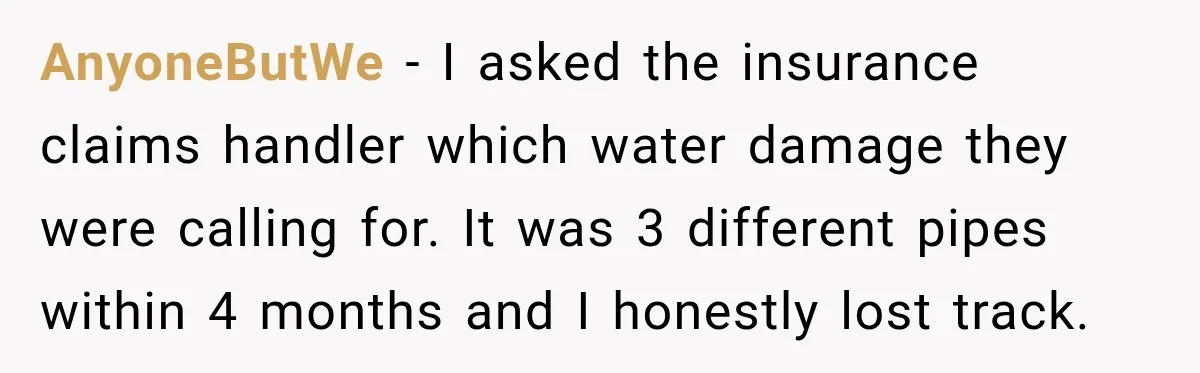 AnyoneButWe − I asked the insurance claims handler which water damage they were calling for. It was 3 different pipes within 4 months and I honestly lost track.