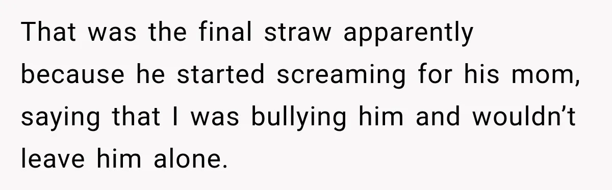 That was the final straw apparently because he started screaming for his mom, saying that I was bullying him and wouldn’t leave him alone.