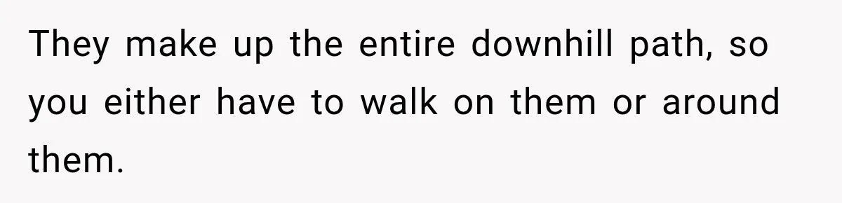 They make up the entire downhill path, so you either have to walk on them or around them.