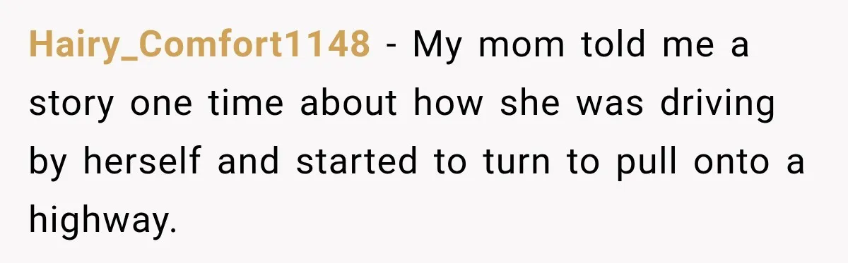 Hairy_Comfort1148 − My mom told me a story one time about how she was driving by herself and started to turn to pull onto a highway.