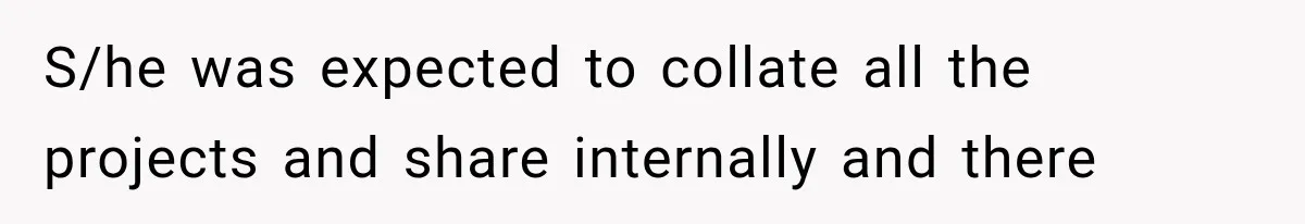 S/he was expected to collate all the projects and share internally and there