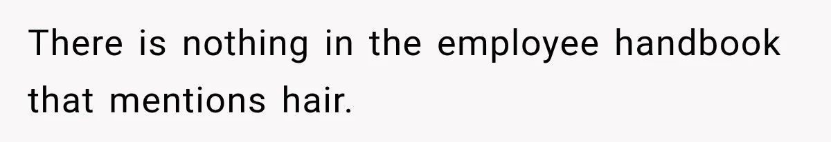 There is nothing in the employee handbook that mentions hair.