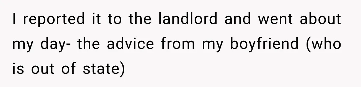 I reported it to the landlord and went about my day- the advice from my boyfriend (who is out of state)