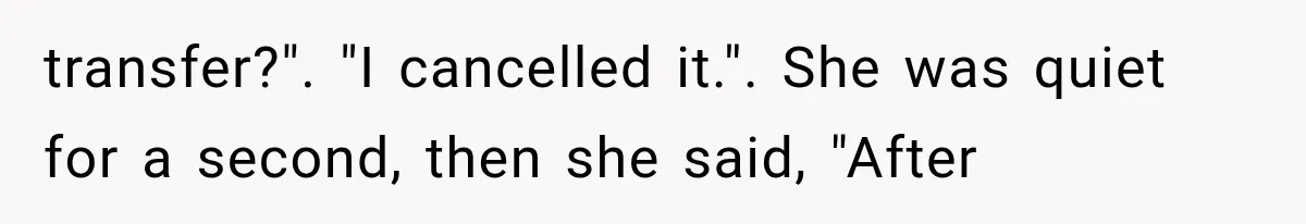 transfer?". "I cancelled it.". She was quiet for a second, then she said, "After
