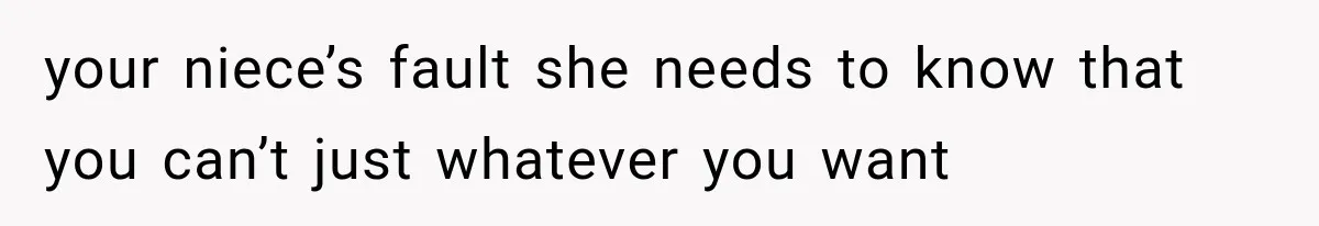 your niece’s fault she needs to know that you can’t just whatever you want