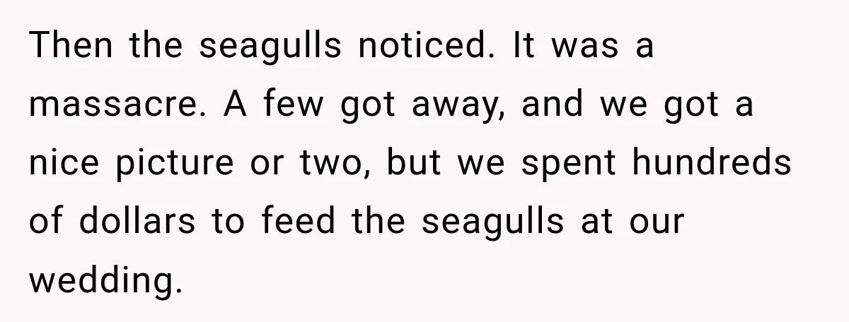 Then the seagulls noticed. It was a massacre. A few got away, and we got a nice picture or two, but we spent hundreds of dollars to feed the seagulls...