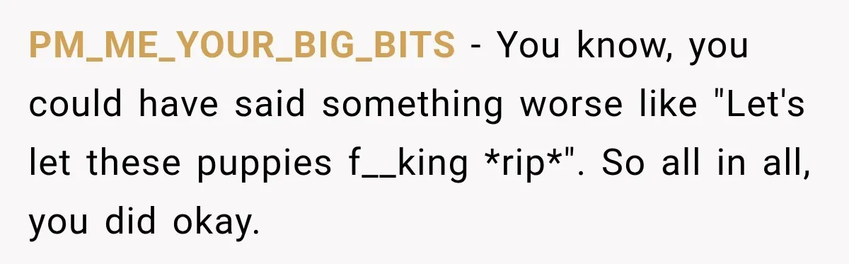 PM_ME_YOUR_BIG_BITS − You know, you could have said something worse like "Let's let these puppies f__king *rip*". So all in all, you did okay.