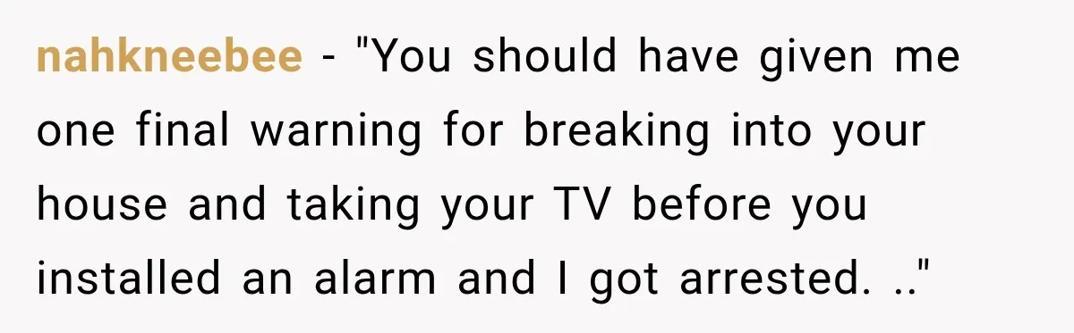 nahkneebee − "You should have given me one final warning for breaking into your house and taking your TV before you installed an alarm and I got arrested. .."