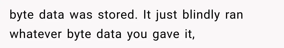 byte data was stored. It just blindly ran whatever byte data you gave it,