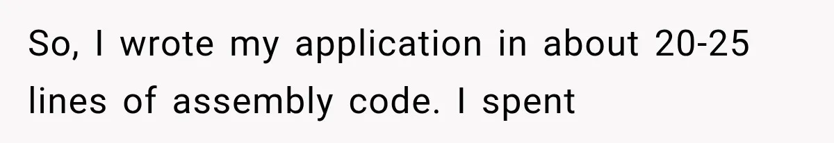 So, I wrote my application in about 20-25 lines of assembly code. I spent