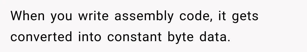 When you write assembly code, it gets converted into constant byte data.