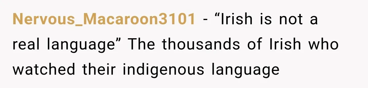 Nervous_Macaroon3101 − “Irish is not a real language” The thousands of Irish who watched their indigenous language