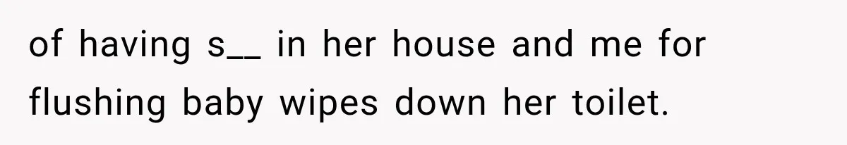 of having s__ in her house and me for flushing baby wipes down her toilet.