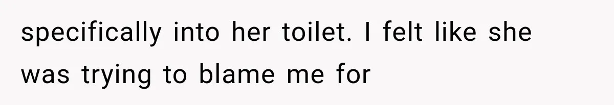 specifically into her toilet. I felt like she was trying to blame me for