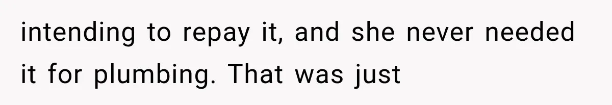 intending to repay it, and she never needed it for plumbing. That was just