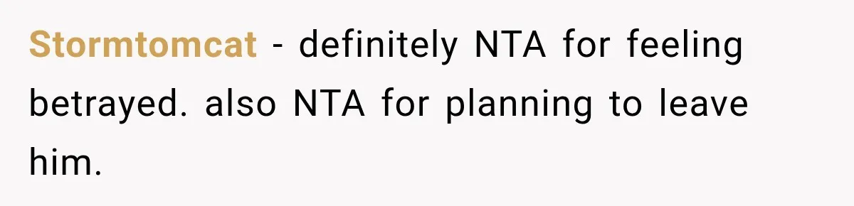 Stormtomcat − definitely NTA for feeling betrayed. also NTA for planning to leave him.