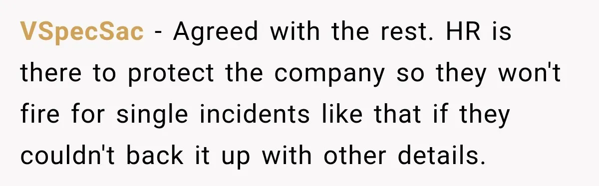 VSpecSac − Agreed with the rest. HR is there to protect the company so they won't fire for single incidents like that if they couldn't back it up with other...