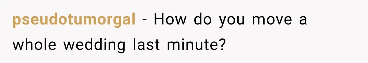 pseudotumorgal − How do you move a whole wedding last minute?