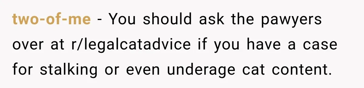 two-of-me − You should ask the pawyers over at r/legalcatadvice if you have a case for stalking or even underage cat content.