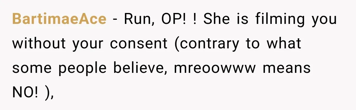 BartimaeAce − Run, OP! ! She is filming you without your consent (contrary to what some people believe, mreoowww means NO! ),