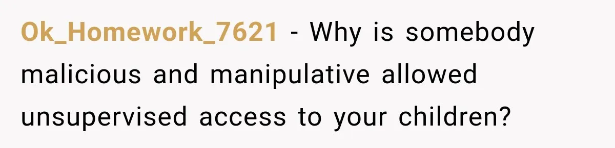 Ok_Homework_7621 − Why is somebody malicious and manipulative allowed unsupervised access to your children?