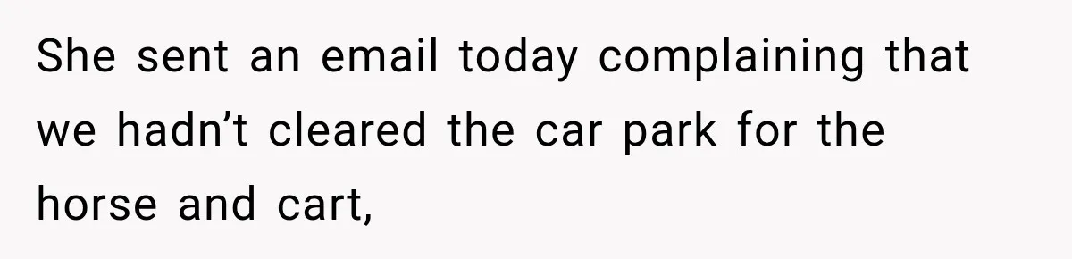 She sent an email today complaining that we hadn’t cleared the car park for the horse and cart,