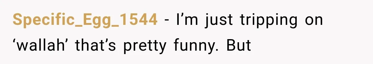 Specific_Egg_1544 − I’m just tripping on ‘wallah’ that’s pretty funny. But