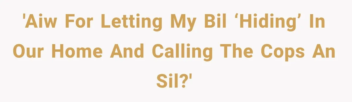 'AIW for letting my BIL ‘hiding’ in our home and calling the cops an SIL?'
