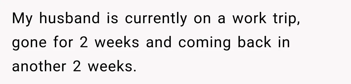 My husband is currently on a work trip, gone for 2 weeks and coming back in another 2 weeks.