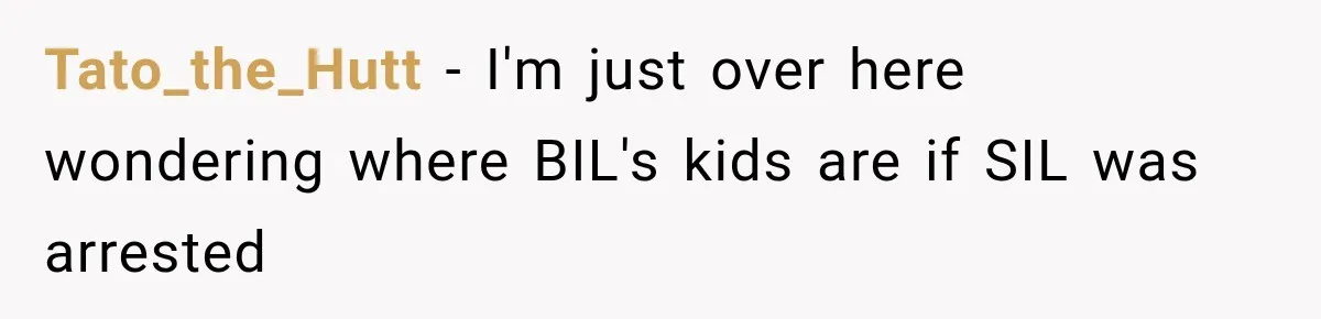 Tato_the_Hutt − I'm just over here wondering where BIL's kids are if SIL was arrested