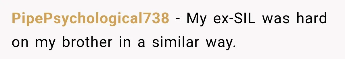 PipePsychological738 − My ex-SIL was hard on my brother in a similar way.