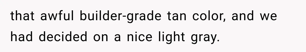 that awful builder-grade tan color, and we had decided on a nice light gray.