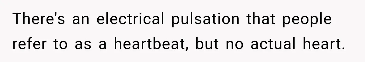 There's an electrical pulsation that people refer to as a heartbeat, but no actual heart.