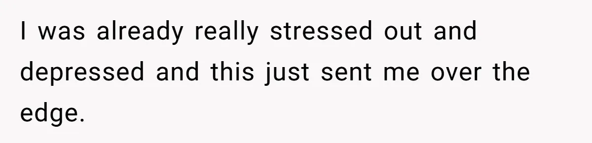 I was already really stressed out and depressed and this just sent me over the edge.