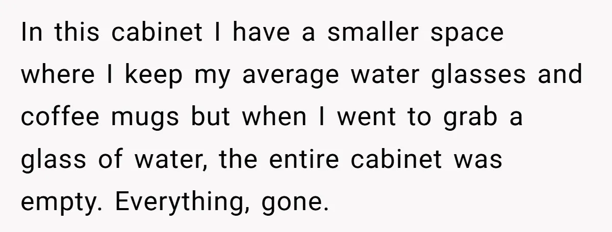 In this cabinet I have a smaller space where I keep my average water glasses and coffee mugs but when I went to grab a glass of water, the entire...