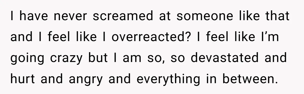 I have never screamed at someone like that and I feel like I overreacted? I feel like I’m going crazy but I am so, so devastated and hurt and angry...